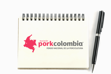 https://transparencia.porkcolombia.co/wp-content/uploads/2018/04/ley_imagen.png