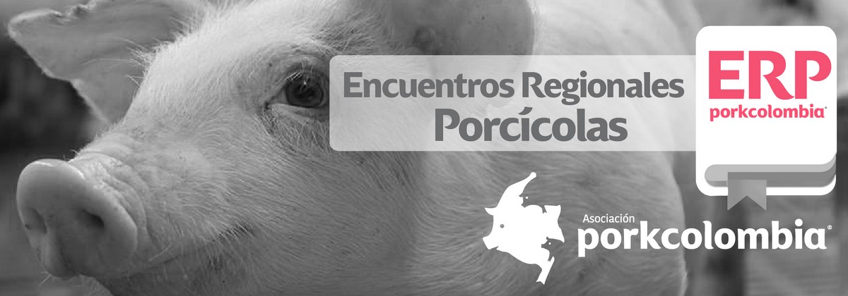 https://transparencia.porkcolombia.co/wp-content/uploads/2018/05/ERP.jpg