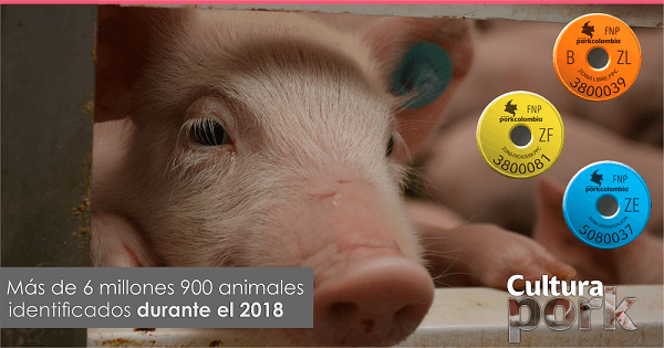 https://transparencia.porkcolombia.co/wp-content/uploads/2019/04/entrada-pork-15-04-19-1.png