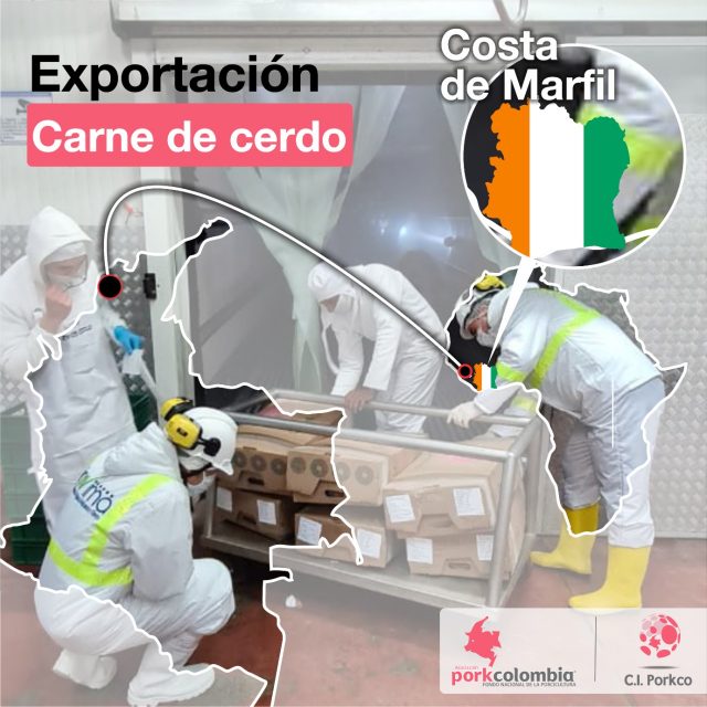https://transparencia.porkcolombia.co/wp-content/uploads/2020/06/Exportación-de-carne-de-cerdo-a-Costa-de-Costa-de-Marfil-Porkcolombia-640x640.jpeg