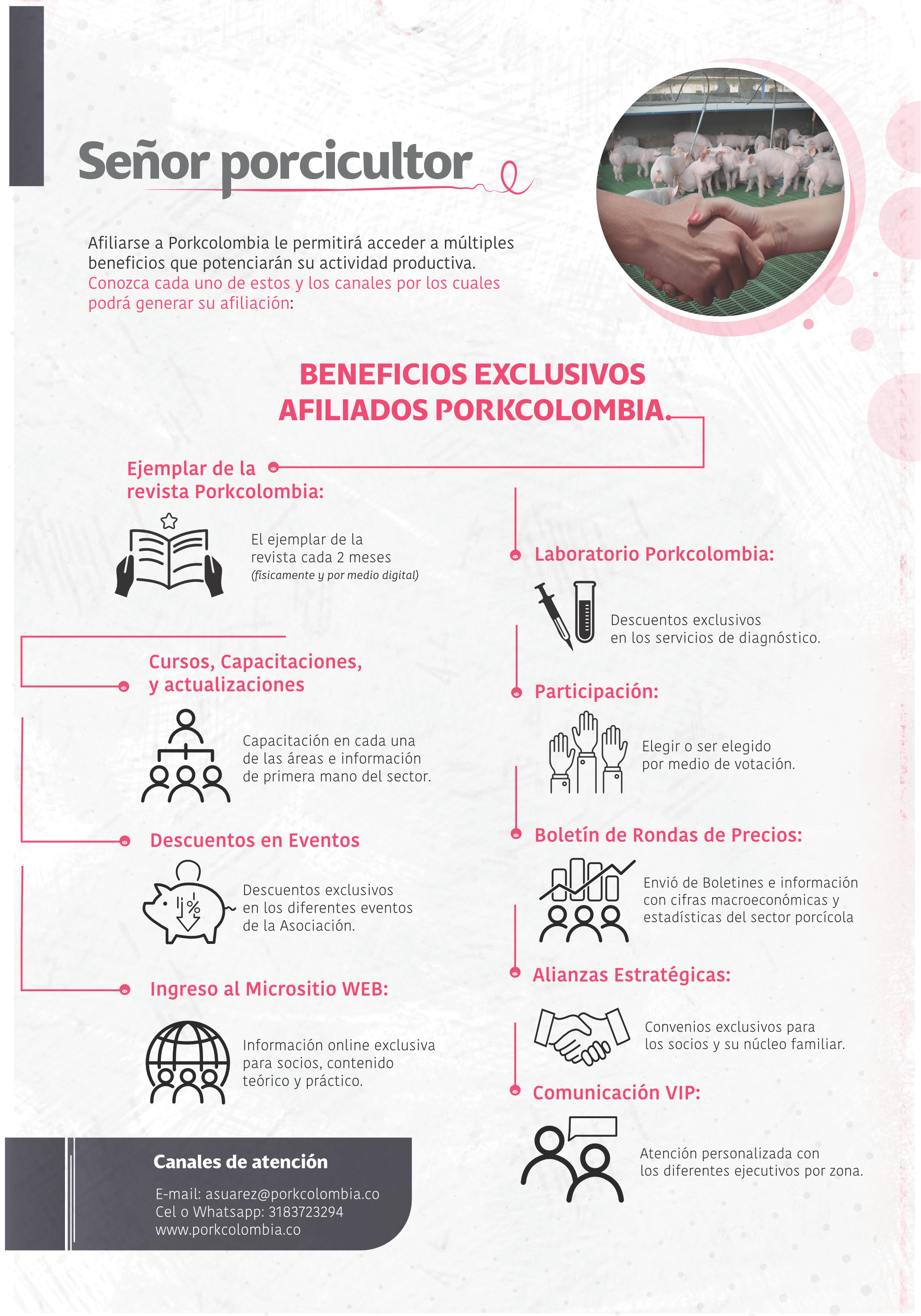 https://transparencia.porkcolombia.co/wp-content/uploads/2023/01/2Beneficios-1.png