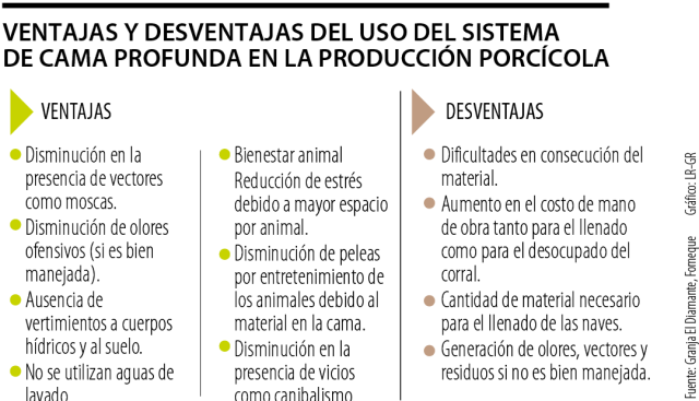Sistema de cama profunda, ¿es una alternativa viable en la producción porcina?